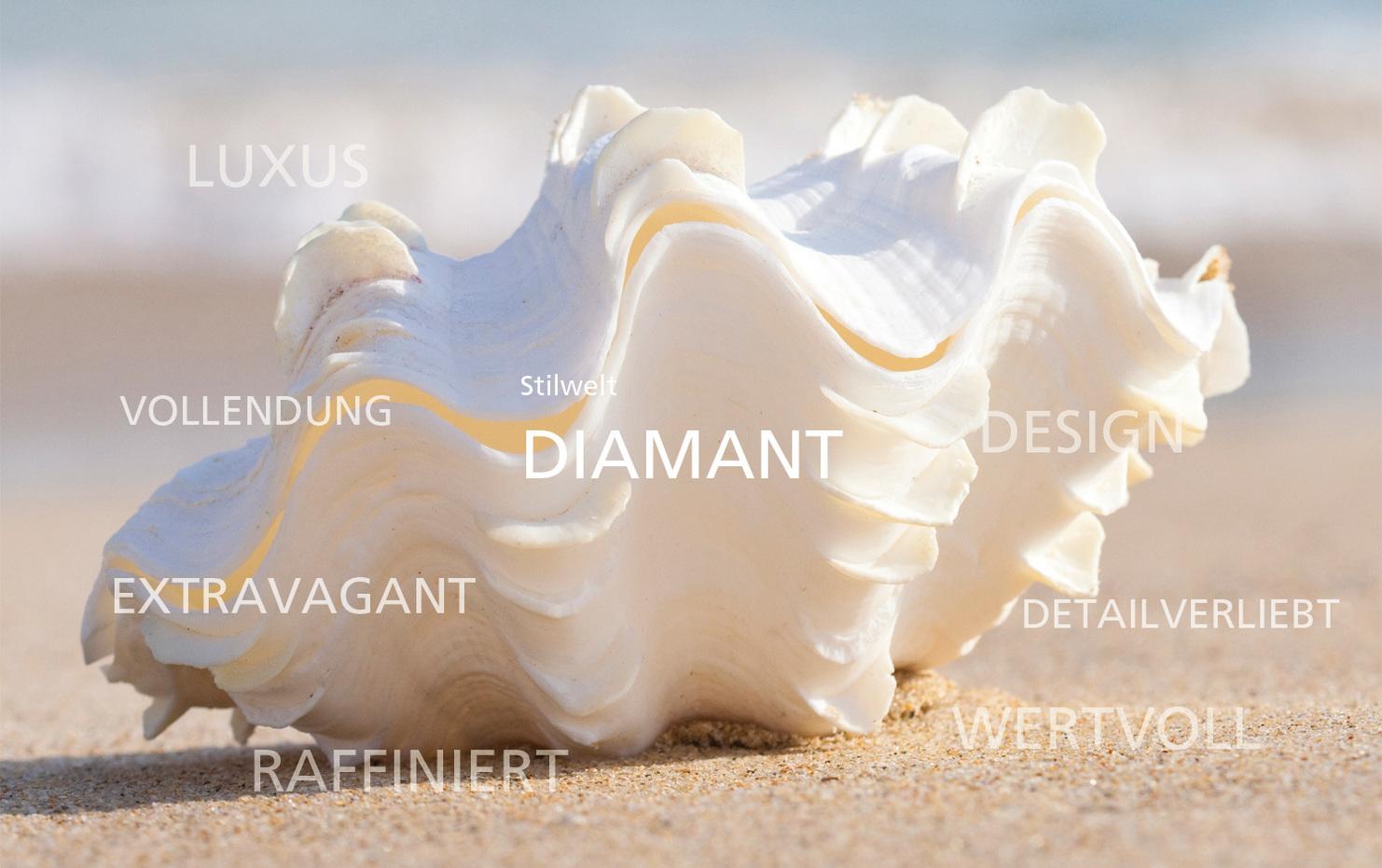 Stilwelt Diamant Muschel im Sand